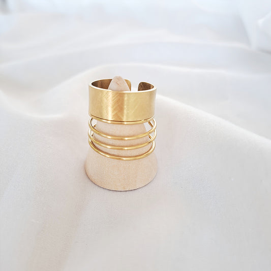 Anillo Zia